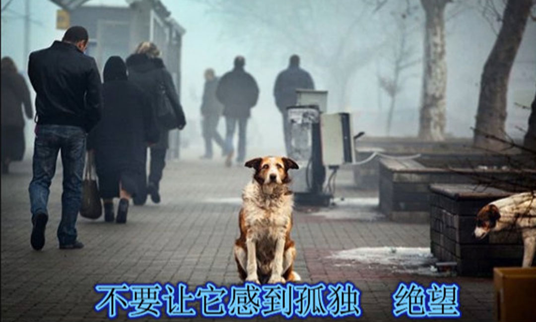房山房山爱影圈微博微信转发案例